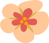 Clivia Flower