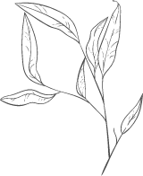 Leaning Leaf Arrangement