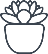 Blank Potted Plant