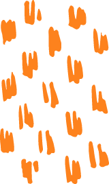 Rough Texture