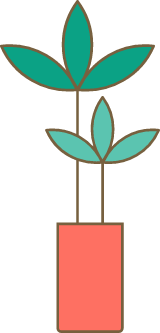 Potted Indoor Plant